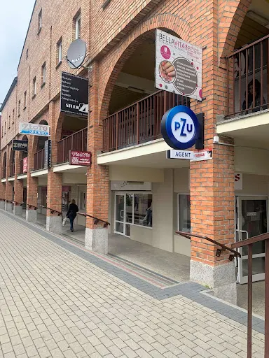 PZU Ubezpieczenia Ostrołęka - Agent Paweł Cylwik